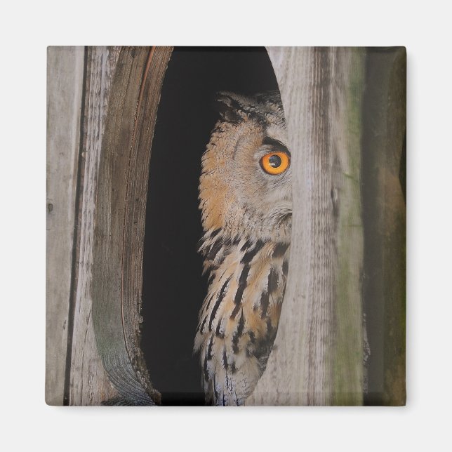 Imán Nevera de Peeking Owl Lover (Frente)