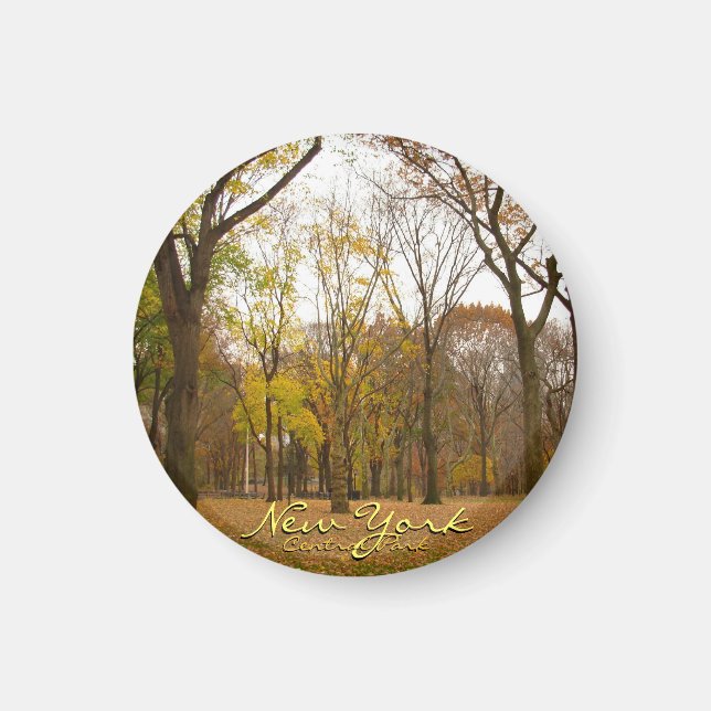 Imán New York Fridge Magnet Central Park NYC Magnet (Frente)