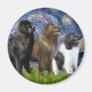 Imán Newfie Trio - Noche estrellada