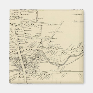 Imán Newport, Sullivan Co