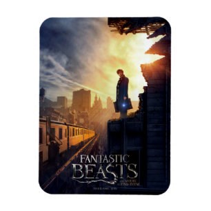 Imán NEWT SCAMANDER™ en edificio destruido