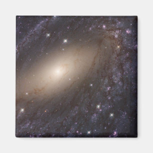 Imán Ngc 6744, A 30 Millones De Años Luminosos.