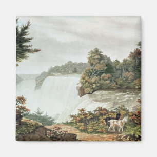 Imán Niagara Falls, de la isla de la cabra