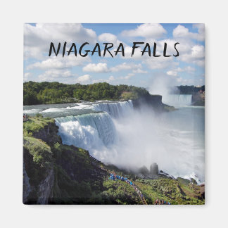Imán Niagara Falls Magnet