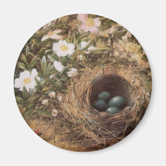 Imán Nido de pájaro y rosas silvestres por John William