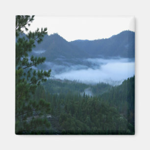 Imán Niebla matutina....