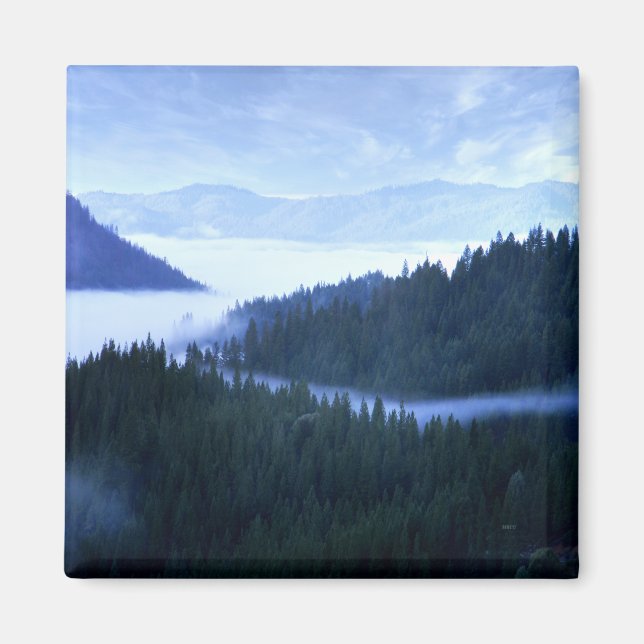 Imán Niebla matutina...... (Frente)