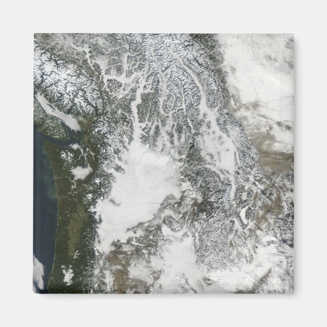 Imán Niebla y niebla en el noroeste del Pacífico (verda (Frente)