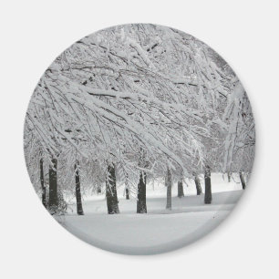 Imán nieve