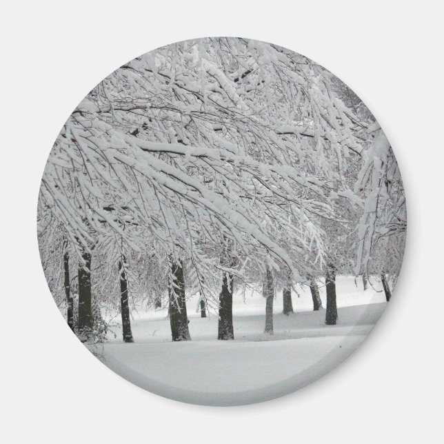 Imán nieve (Frente)