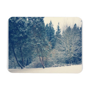 Imán Nieve de invierno en Wilsonville, Oregón