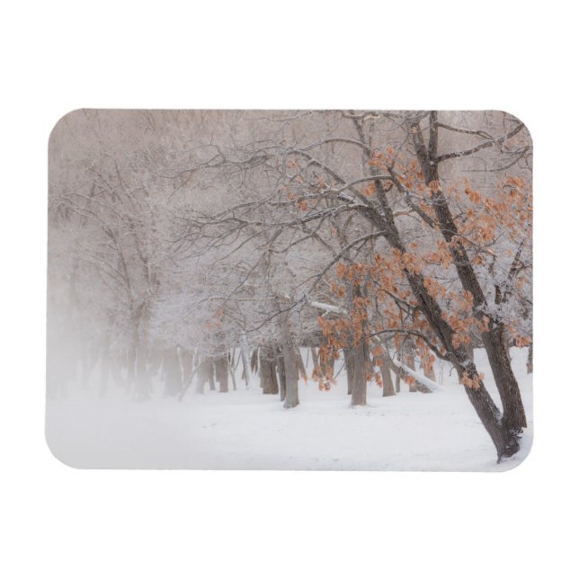 Imán Nieve de invierno | Lago Kussharo (Horizontal)