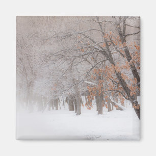 Imán Nieve de invierno   Lago Kussharo