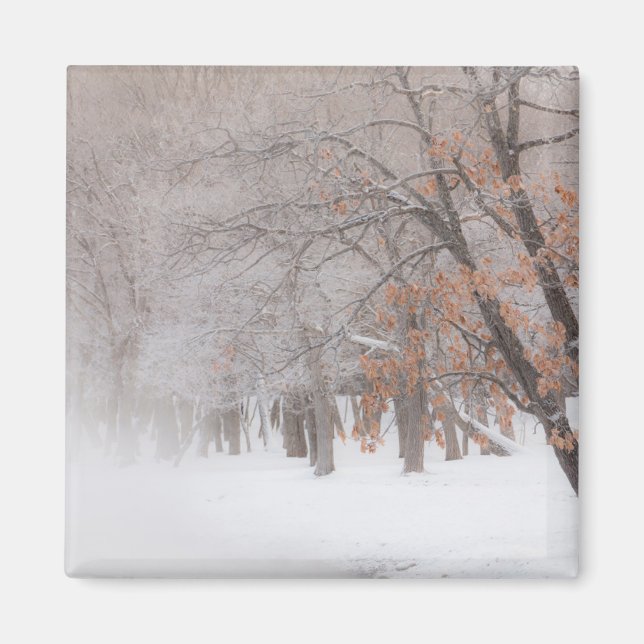 Imán Nieve de invierno | Lago Kussharo (Frente)