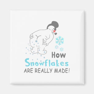 Imán Nieve Divertida Cómo se Hacen Realmente los Copos