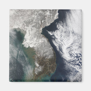 Imán Nieve en Corea