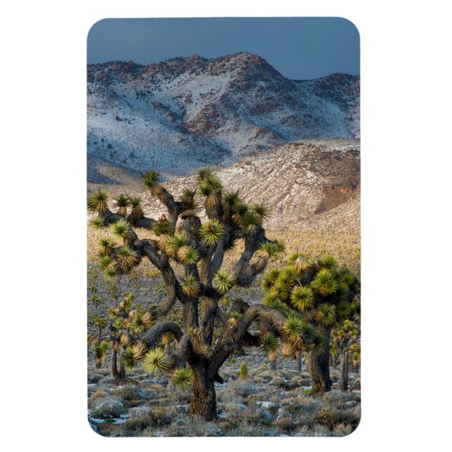 Imán Nieve En El Valle De La Muerte (Vertical)