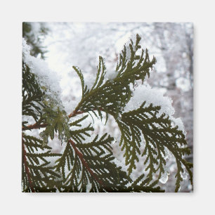 Imán Nieve en ramas verdes