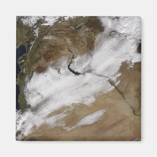 Imán Nieve en Siria (Frente)