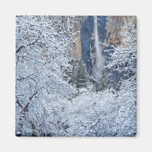Imán Nieve fresca en los árboles debajo de Bridalveil
