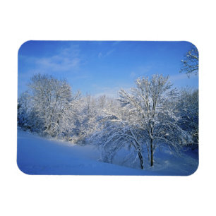 Imán Nieve récord en Louisville, Kentucky.