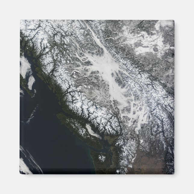 Imán Nieve y niebla en Columbia Británica (Frente)