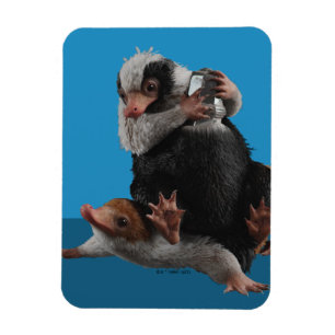 Imán Nifflers Bebés Encuentran Un Premio