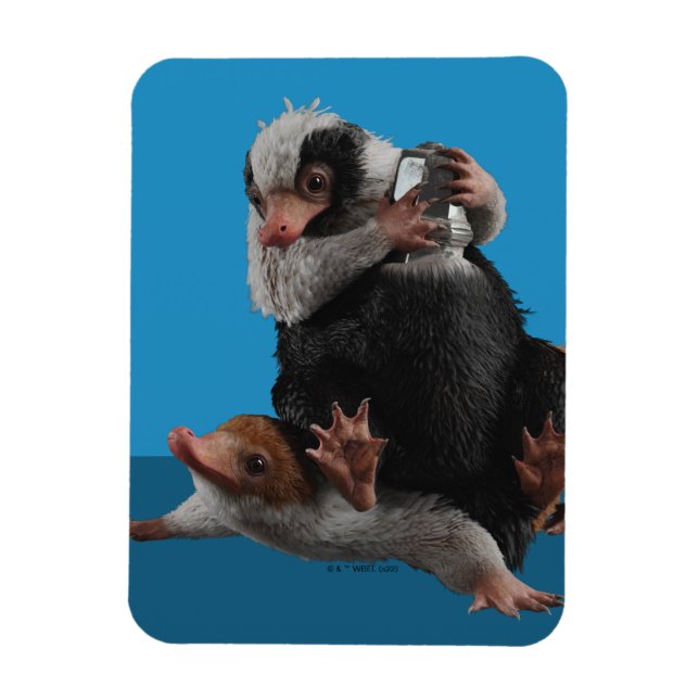 Imán Nifflers Bebés Encuentran Un Premio (Vertical)