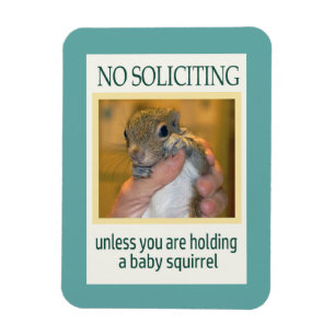 Imán Ninguna ardilla solicitante