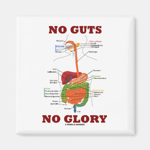 Imán Ninguna tripa ninguna gloria (humor de la anatomí