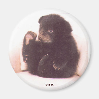 Imán Nipper Magnet