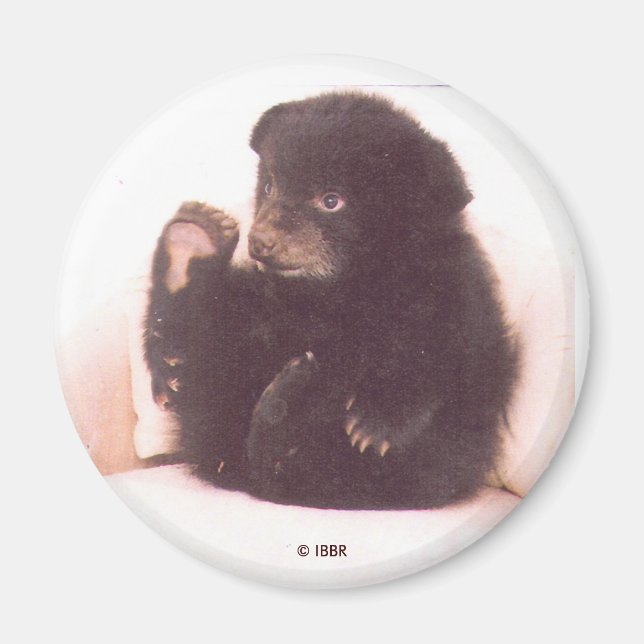 Imán Nipper Magnet (Frente)