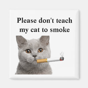 Imán No enseñe por favor a mi gato a fumar