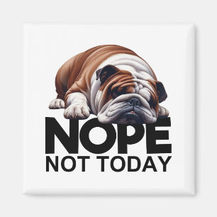 Imán No es Bulldog de hoy
