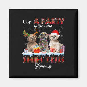 Imán No es un Fiesta hasta el show de Shih Tzus Santa