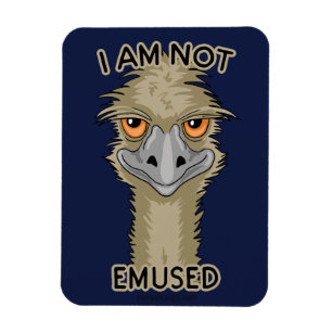 Imán No Estoy Confundido Con El Divertido Emu Pun