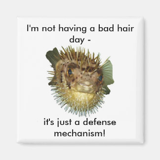 Imán No estoy teniendo un mal día para el pelo -