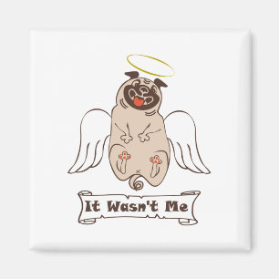 Imán No fue una cita graciosa de ángel pug de mí