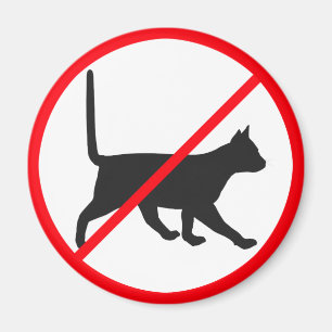 Imán ¡No Hay Entrada Para Gatos!