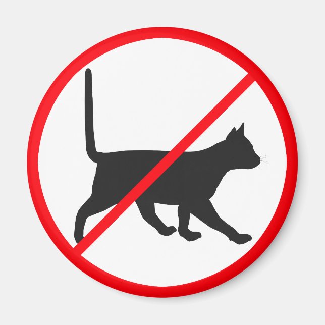Imán ¡No Hay Entrada Para Gatos! (Frente)