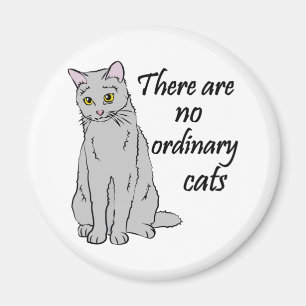 Imán No Hay Gatos Ordinarios