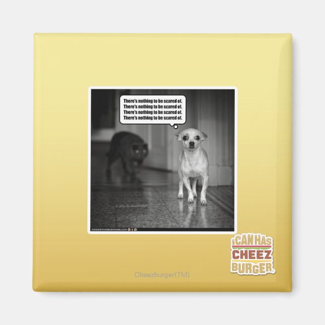 Imán No hay nada de qué temer (Frente)