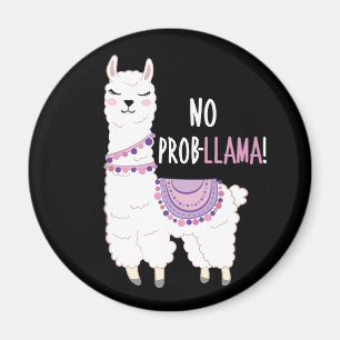 Imán No hay problema de llama