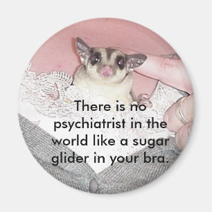 Imán No hay psiquiatra en...