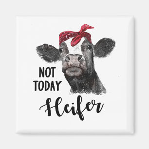 Imán no heifer de hoy