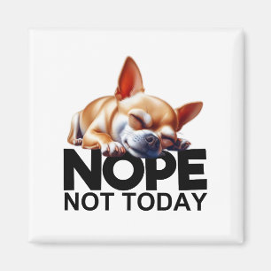 Imán No, hoy Chihuahua
