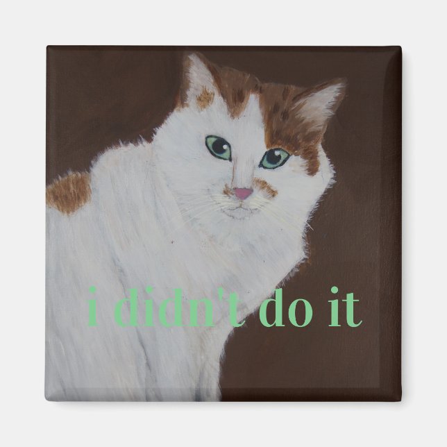 Imán no lo hice (Frente)