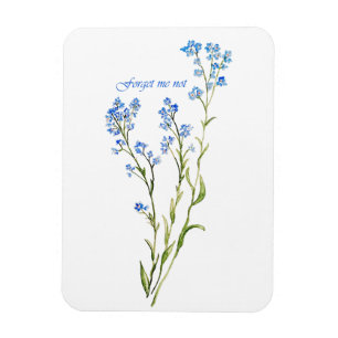 Imán No me olvides Flor de jardín acuarela personalizad