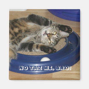 IMÁN ¡NO ME TIENES, BRO!