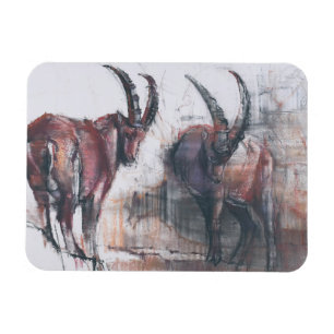 Imán No mires abajo